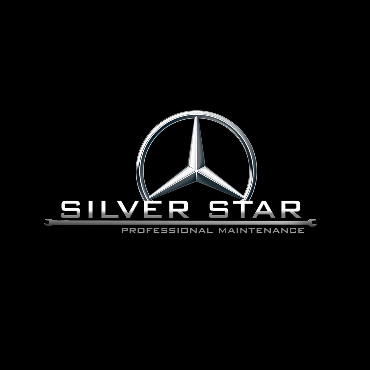 Up To 12 Months with 0% Interest / Silver Star, May 2023
